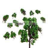 Architectural Mode Tree, Scale Model Trees, Model Family Tree, Plastic Model Tree,2015 New,MT-09 thumbnail-4