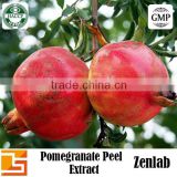 restrain HIV ellagic acid pomegranate seeds extract