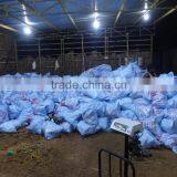 Cocounts thumbnail-4