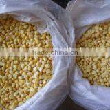 NO-GMO Frozen Sweet and Yellow Corn Kernels thumbnail-1