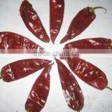 Qingdao Fumanxin Foods Co., Ltd. company overview - view 1 thumbnail