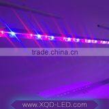 XQD 12W Led Grow Light Tube thumbnail-5