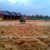 Coconut Fibre thumbnail-1