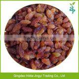 2016 New Red Raisins Hot Selling thumbnail-1