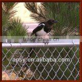 Chain Link Fence 2013 Largest Manufactory