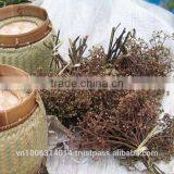 Zanthoxylum Rhetsa/Mac Khen thumbnail-3