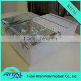 Mouse Group Breeding Rat Breeding Cage