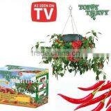Planter,Topsy Turvy ,Hot Pepper Planter