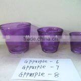Different Finish Modern Glass Flower Pots for Garden Decoration thumbnail-2