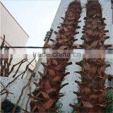 SJ2017200008 Hot Sale Outdoor Decorative Artificial Washington Plastic Palm Tree uv Anti thumbnail-2