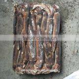 Agar Agar of Frozen Illex Squid thumbnail-1