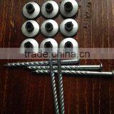 Galvanized Roof Screw Nail With Plastic Cap thumbnail-4