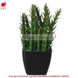 Artificial Wholesale Potted Succulent Plants Smalll Plants Mini Succulent thumbnail-1