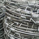 Galvanized or PVC Coated Barbed Wire Cheap Barbed Wire thumbnail-4