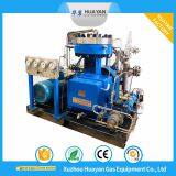 45Bar Лучшее качество Высокое давление Диафрагменный компрессор азота Усилитель газа окиси азота thumbnail-2