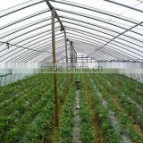 2015 hot sale 200 micron uv resistant plastic film greenhouse with good quality                        
                                                Quality Choice