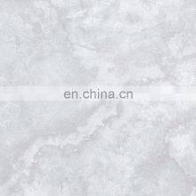 Foshan 600x600 Grey Outdoor Kajaria Floor Rustic Matt Bathroom Tiles JBR6117H thumbnail-3