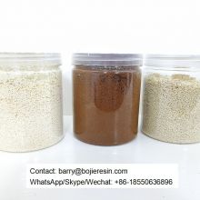 Ion exchange resin used to extract Vitamin B5
