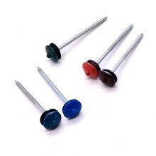 Galvanized Umbrella Head Roof Nails Umbrella Type Roofing Nail Umbrella Head Roofing Nail thumbnail-5