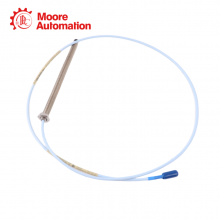 Bently Nevada 330103-00-16-10-12-05 thumbnail-4