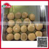 Bulk Wholesale China Newly Canned Whole Mushroom Canned thumbnail-1