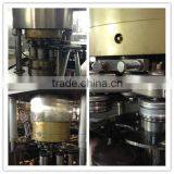 Hot Selling Automatic Beverage Soft Drink Filling Machine