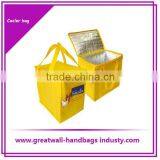 Fahsion Insulated Cooler Bag Picnic Cooler Bag thumbnail-1