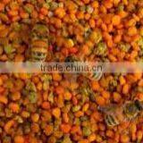 Best Bee Pollen for Bees thumbnail-1