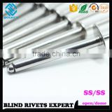 DIN 7337 316 STAINLESS STEEL POP RIVETS