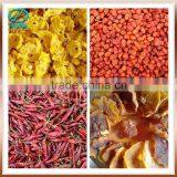 Factory Supply Cassava Drying Machine Food Belt Dryer With CE thumbnail-3