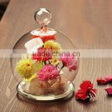 2014 Hot selling glass flower dome