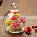 Hot!!! Blown Glass Display Dome&make Decorative Glass Dome for Cake thumbnail-2