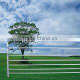 Hot Dipped Galvanized Cattle Yard Panels for Australia From China High Quality