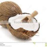 High Quality Vietnam High Fat Desiccated Coconut (whatsapp: +84936172627) thumbnail-3