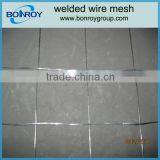 Electric Galvanized Welded Wire Mesh thumbnail-1
