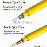 Singlemode single core armoured bundle fiber