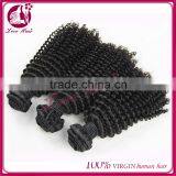 Hot Selling Pilipion Kinky Curly Hair ,top Quality Kinky Curl Hair thumbnail-2