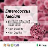 Best quality Enterococcus faecium powder