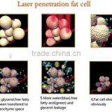 Medical CE ISO 13485 Machine/ Laser Slimming Machine for Fat Reducing thumbnail-5