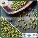 Machine Dressed Green Mung Bean thumbnail-5