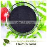 100% Natural Organic Fertilizer Organic Strawberry thumbnail-6