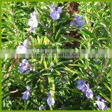 Professtional Medical Ultrasonic Liquid Extraction Equipment thumbnail-5