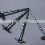 Hot Sales! China Factory Supply High Quality Galvanized Umbrella Head Roofing Nails thumbnail-3