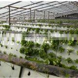 2016 Hot Sale Large Hydroponic Greenhouse thumbnail-2