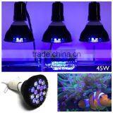 the Newest Design Led Submersible Aquarium Spot Light for Your Fish and Coral Reef thumbnail-1