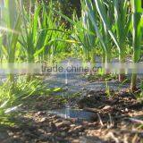 Vegetable Garden Mats thumbnail-6
