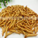 Premium Freeze Dried Mealworms thumbnail-3