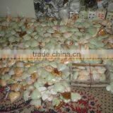 Pakistan Supplier MANUFACTURER AND EXPORTERSONYX HEARTS HANDICRAFTS thumbnail-4