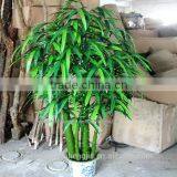 SJ217006 Hot Sell Fake Bamboo Tree/natural Trunk