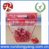 Plastic Printed Zip Lock Grapes Bag Fruit Protection Bag thumbnail-4